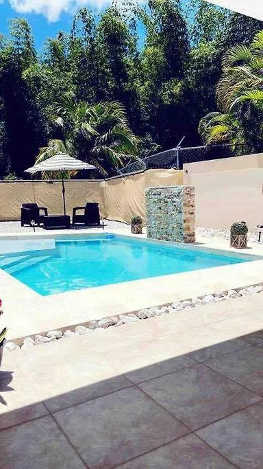 Deliz Dream Studio With Pool Apartment Canovanas
